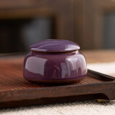 Mini ceramică Urnă pentru animale de companie Sicriu comemorativ pentru incinerare Urnă pentru animale de companie Memorială funerară Cenușă Cutie de suveniruri pentru câine decedat Articole pentru animale de companie