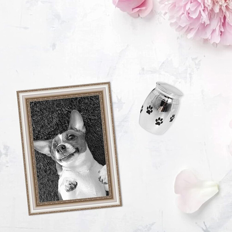 1 vnt. kremavimo memorialinė urna, įsimintina memorialinė naminiai gyvūnai Dovana laidojimas kremavimo urnos saugykla Naminių gyvūnėlių urnos šunų katėms Pelenai Išsaugoti prisiminimus