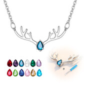 Elnio urnos karoliai pelenams nerūdijančio plieno ragų kremavimo papuošalų urnos karoliai naminiams gyvūnėliams/žmonėms. Pasidaryk pats atminimo papuošalų dovana