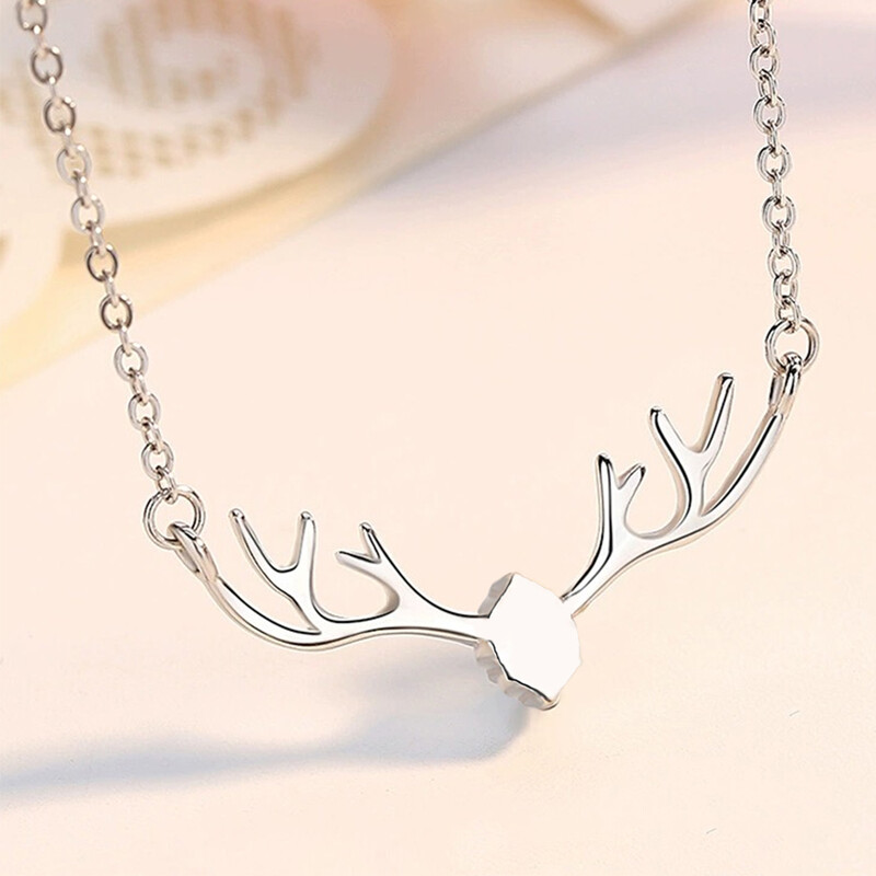 Elnio urnos karoliai pelenams nerūdijančio plieno ragų kremavimo papuošalų urnos karoliai naminiams gyvūnėliams/žmonėms. Pasidaryk pats atminimo papuošalų dovana