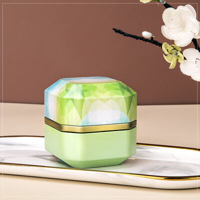 Câini Pisici Animale de companie de talie mică Urnă de fier pentru incinerare Suport pentru cenușă de animale Urne Memoriale pentru animale Sicriu funerar Afișare pentru suveniruri acasă sau îngropare