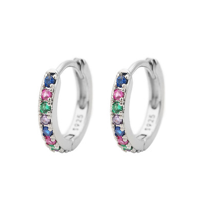 2 buc. Cercei Minimal Hoops din oțel inoxidabil pentru femei 5mm 6mm 7mm 8mm 9mm Huggie Hoops mini Cercei multicolori curcubeu CZ
