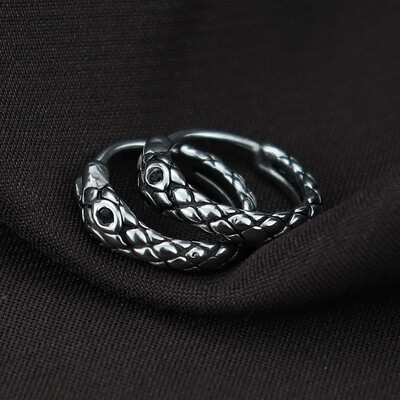 Panka personība serpentīna galvaskauss pūķa lapsas stīpām auskari no nerūsējošā tērauda vīriešiem sievietēm rotaslietas auskari