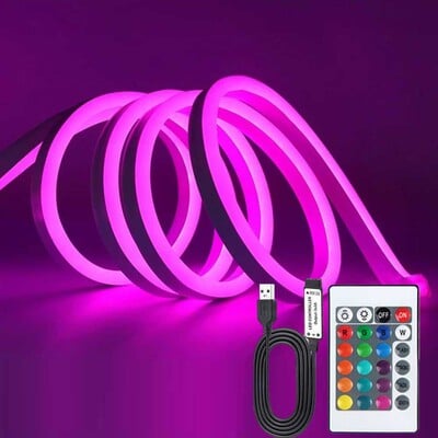 RGB neoonriba tuled DC5V USB LED-riba 1M/2M/3M/4M/5M IP65 veekindel neoonriba peo jaoks kodukaunistuseks valgustuse värv