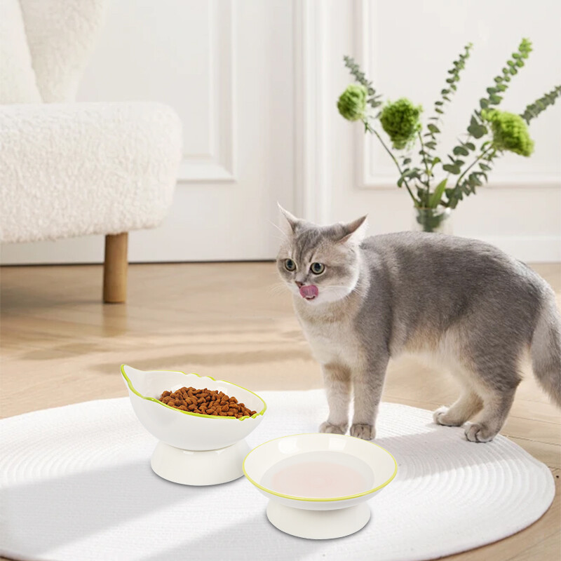 Pakeltas kačių dubuo Paaukštintas kačių maisto dubuo Stabilus Apsaugokite augintinio stuburą Patvarus naminių gyvūnėlių maitinimo indas Kačiukas Vandens dubuo katėms Šunims