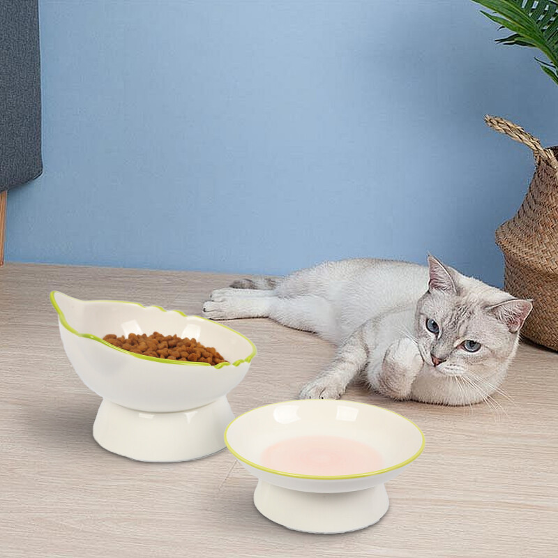 Pakeltas kačių dubuo Paaukštintas kačių maisto dubuo Stabilus Apsaugokite augintinio stuburą Patvarus naminių gyvūnėlių maitinimo indas Kačiukas Vandens dubuo katėms Šunims
