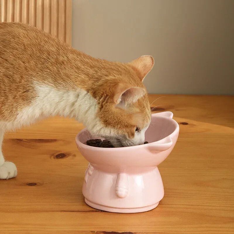 Συνδυασμός κεραμικού μπολ για γάτα Διπλό μπολ Ψηλά πόδια λοξό στόμα λαιμό προστατευτικό λαιμού πόσιμου νερού Λεκάνη σκύλου Γάτα Ρύζι μπολ Προμήθειες για κατοικίδια