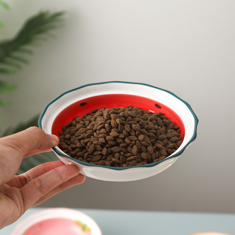 Bol din ceramică pentru pisici, apă de băut pentru pisici de companie, conserve, bol pentru hrana pentru pisici, bol ceramic pentru hrănire pentru pisici și câini de 5,5 inci