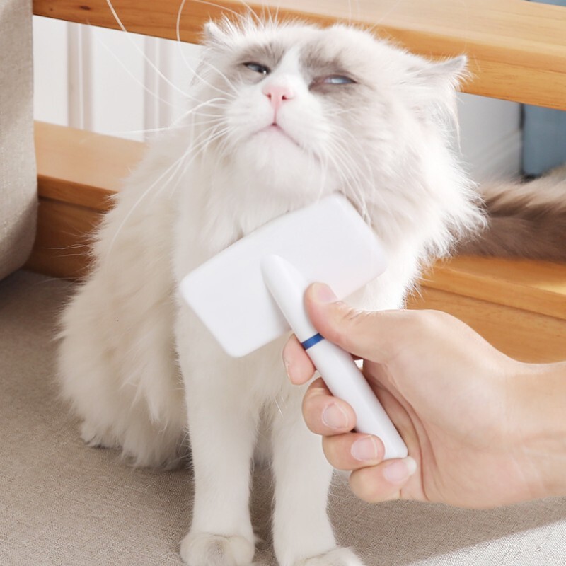 Piepteni de îngrijire a pisicilor Pieptene cu ac din oțel pentru curățare profundă pentru pisici câini de talie mică Perie din oțel inoxidabil de siguranță Accesorii pentru animale de companie en-gros