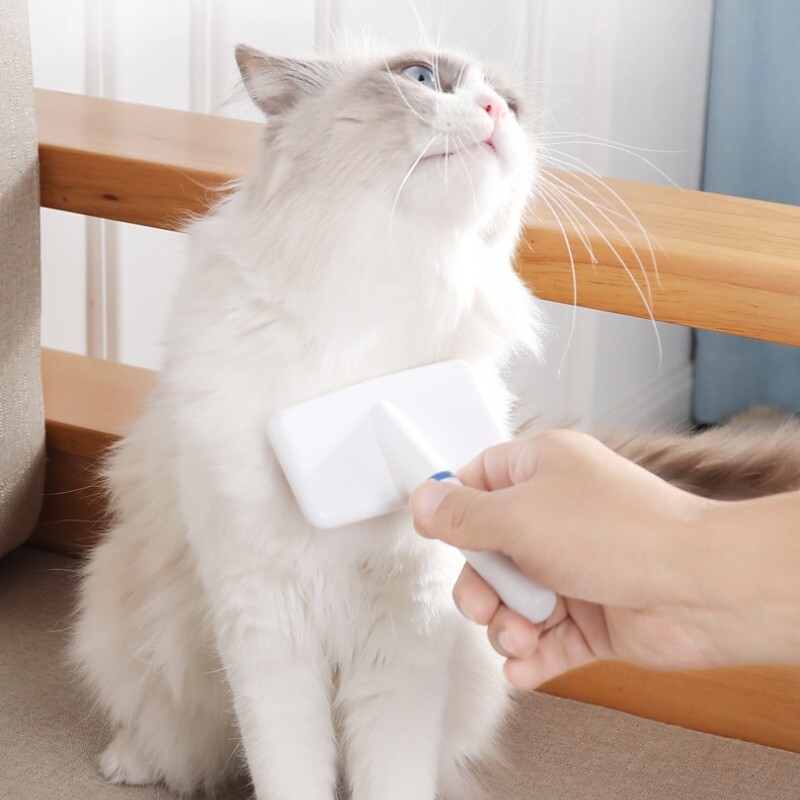 Piepteni de îngrijire a pisicilor Pieptene cu ac din oțel pentru curățare profundă pentru pisici câini de talie mică Perie din oțel inoxidabil de siguranță Accesorii pentru animale de companie en-gros