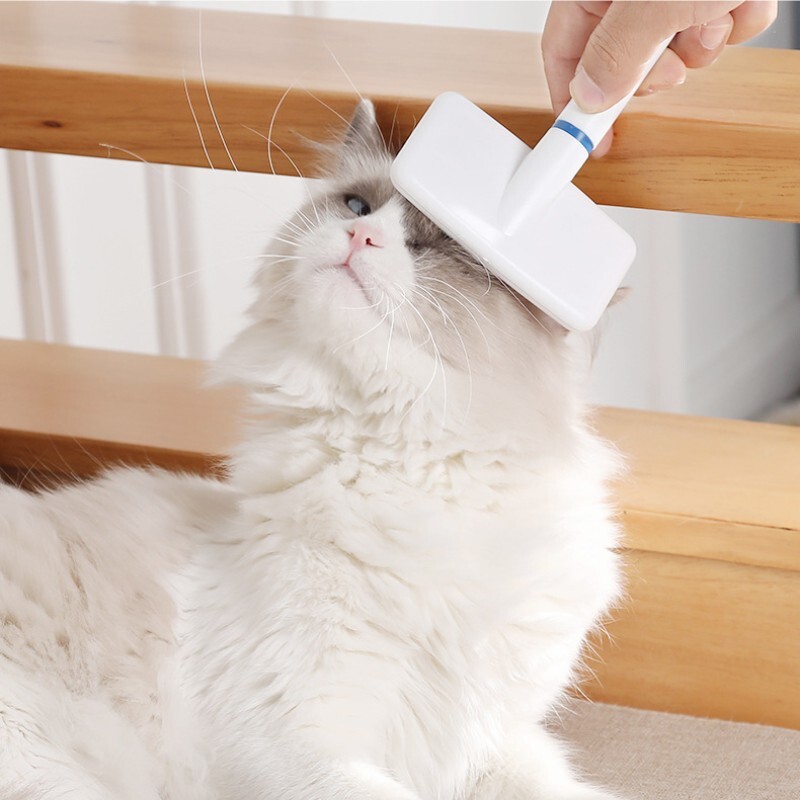 Piepteni de îngrijire a pisicilor Pieptene cu ac din oțel pentru curățare profundă pentru pisici câini de talie mică Perie din oțel inoxidabil de siguranță Accesorii pentru animale de companie en-gros