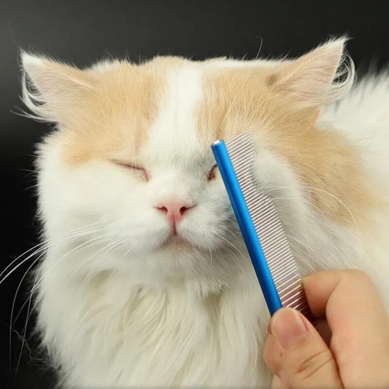 Pieptene pentru pisici Masaj Perie pentru pisici Piepteni din oțel inoxidabil pentru curățarea părului pentru pisici Dispozitiv de îndepărtare a părului pentru animale de companie Perie pentru câini Accesorii pentru pisici