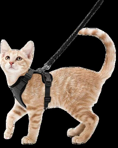 ZFUN Ham și lesă pentru pisici pentru plimbare, hamuri de veste reglabile moi, rezistente la evadare pentru pisici, jachetă cu benzi reflectorizante respirabile