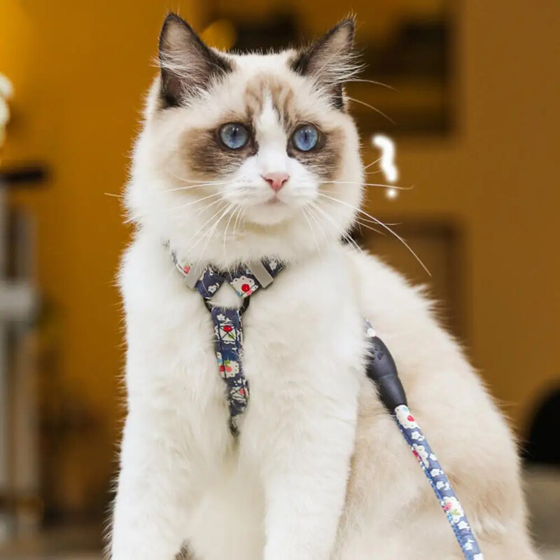 1 szett Kiválóan varrható macska póráz mellkasi heveder hosszú szíj kisállat vontatási kötél hátpánt csat Kutya macskatartozékok