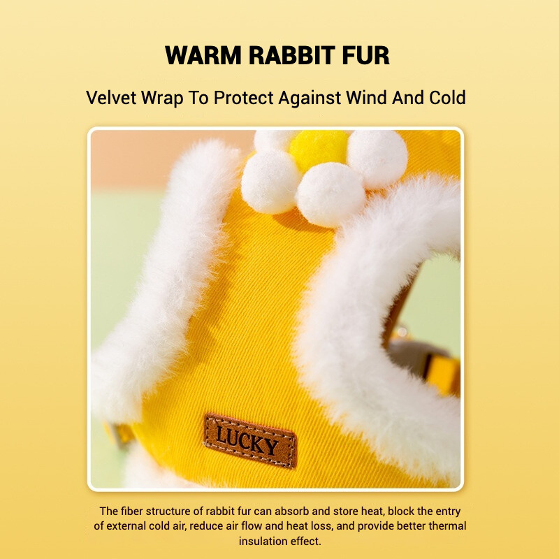 Regulējamas suņu siksnas un pavadas komplekts, No Pull mīksta, silta mājdzīvnieku iejūga, kucēnu veste maziem un vidējiem suņiem, kaķiem