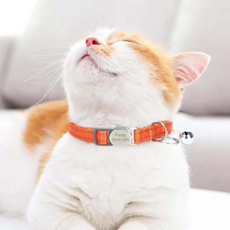 Asmeninis vardo katės antkaklis kačiuko šuniukas, apsaugantis nuo pametimo, pasidaryk pats.