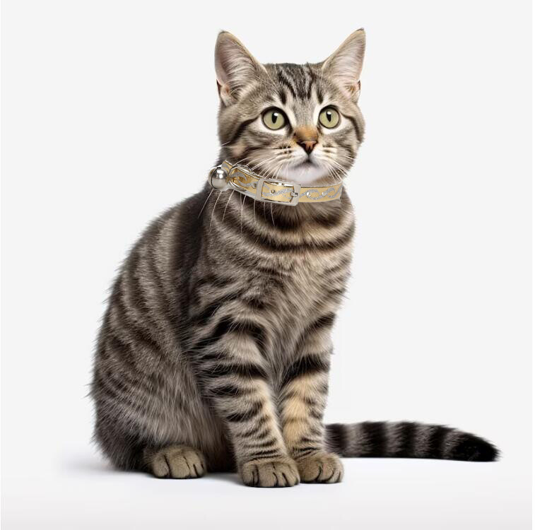 Guler de lux pentru pisici, siguranța care se desprinde, strălucitor, auriu, din piele PU, cu sclipici, zgarda de lux pentru pisici cu accesorii pentru pisici clopot