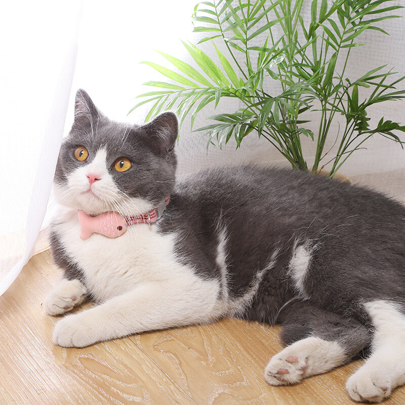 Guler pentru pisici cu pește brodat, cataramă reglabilă, guler pentru pisici mici, colier rafinat pentru pisici, pentru câini, accesorii pentru animale de companie