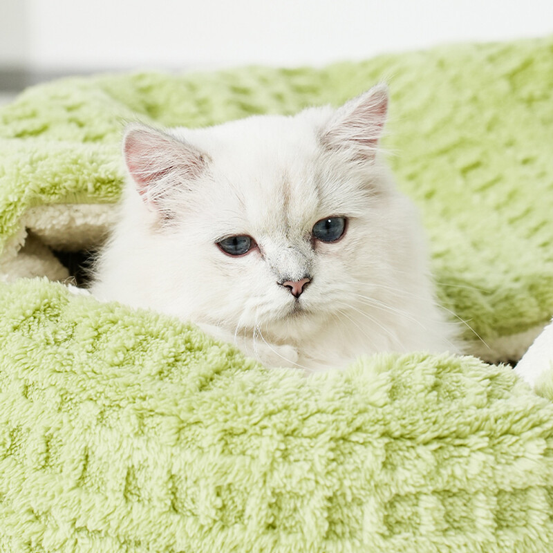 Szuper meleg kutya macskaágy fészek vastag pamut macskák ház barlang kisállat hálószőnyeg párna kosár macskáknak kis kutya chihuahua fészek