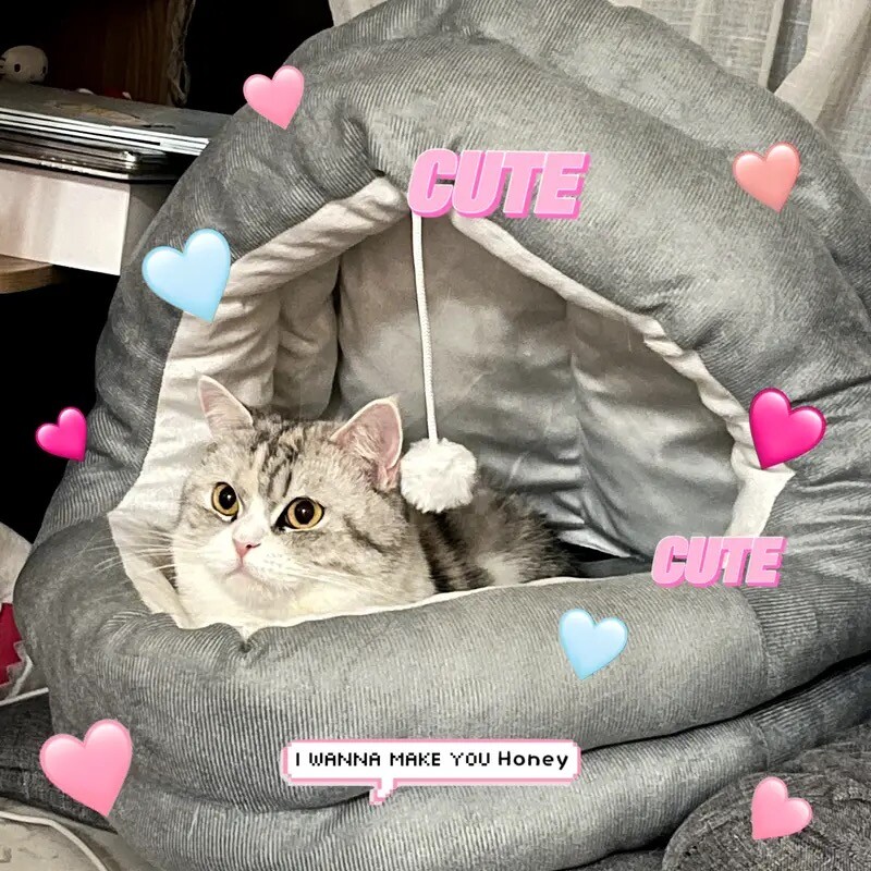 Naminių gyvūnėlių palapinės urvo lova katėms Mažiems šunims Savaime šildantis kačių palapinės lova kačių namelis Patogi naminių gyvūnėlių lova Sulankstoma skalbiama