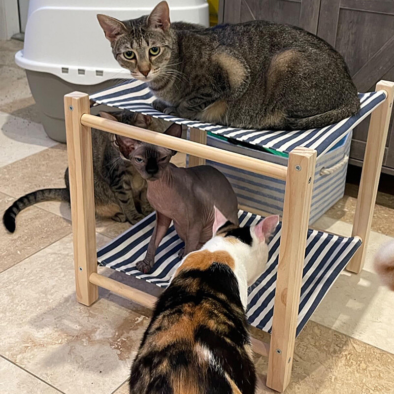 Kaķu šūpuļtīkla gulta, priedes koka konstrukcija, 17,0 x 17,0 collas, 2 slāņu kaķu šūpuļtīkli, paaugstināta kaķu gulta iekštelpu kaķiem