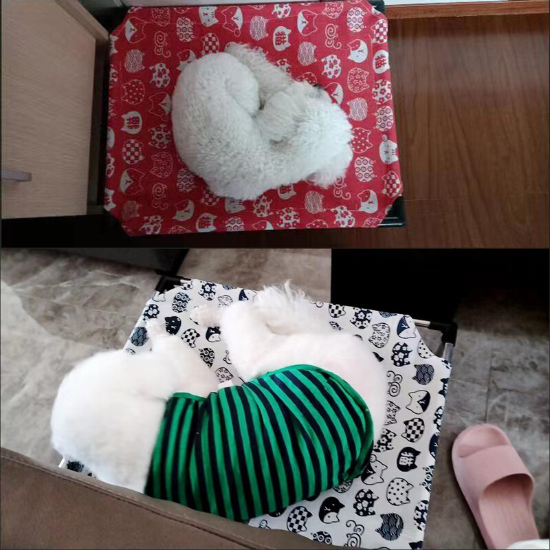 Atvēsinoša mājdzīvnieka paaugstināta kaķu suņu gulta Pārnēsājamas noņemamas paceltas mājdzīvnieku gultiņas iekštelpu un āra ceļojumiem Kempinga suņu mājdzīvnieku piederumi