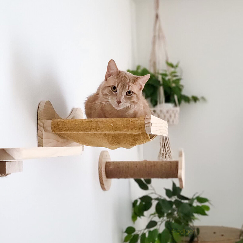 Kačių laipiojimo sieniniai baldai Laiptų lentyna prie sienos tvirtinamas hamakas, apverčiamas laiptų lentynas su sizalio virvinėmis kopėčiomis