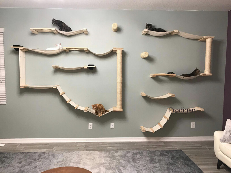 Mobilier din lemn masiv montat pe perete pentru pisici Scară de urcat stinghii Hamac pentru pisici cu stâlp de zgâriere pentru activități în interior