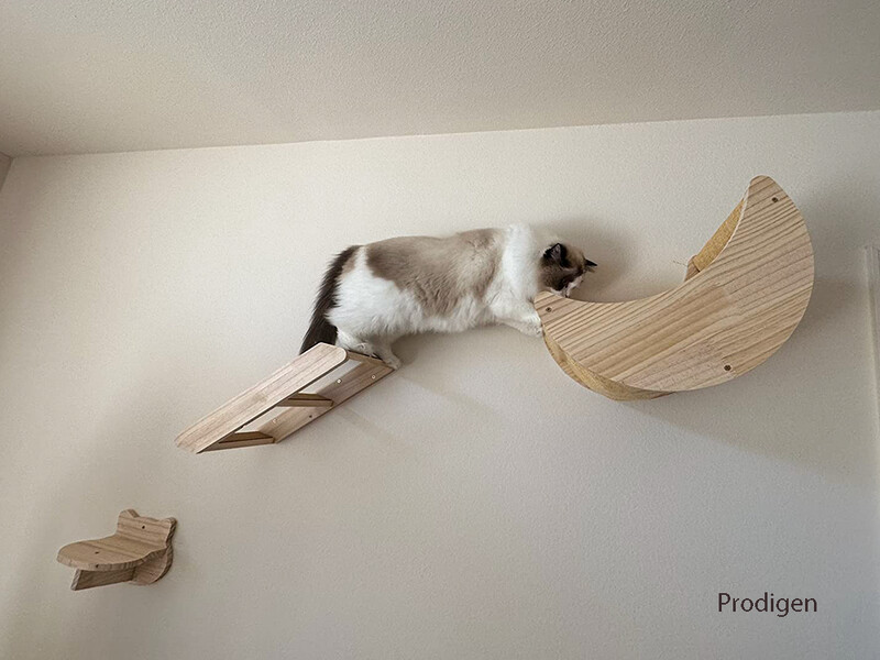 Mobilier din lemn masiv montat pe perete pentru pisici Scară de urcat stinghii Hamac pentru pisici cu stâlp de zgâriere pentru activități în interior