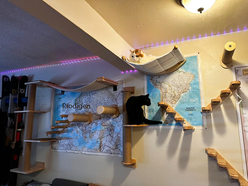 Mobilier din lemn masiv montat pe perete pentru pisici Scară de urcat stinghii Hamac pentru pisici cu stâlp de zgâriere pentru activități în interior