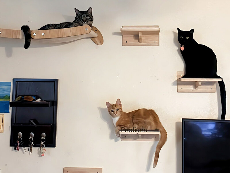 Mobilier din lemn masiv montat pe perete pentru pisici Scară de urcat stinghii Hamac pentru pisici cu stâlp de zgâriere pentru activități în interior