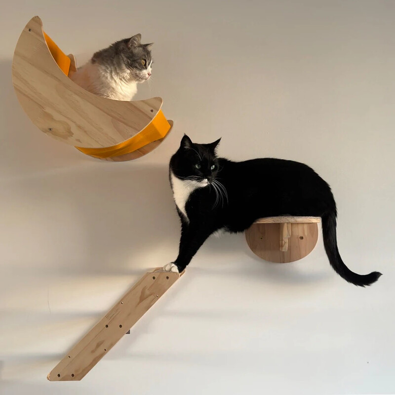 Perete de cățărat montat pentru pisici cu hamac pentru pisici și scară pentru cățărat pentru pisici Casă pentru pisici Raft pentru pisici Cuib de sisal pentru pisicuțe care se joacă și se odihnesc