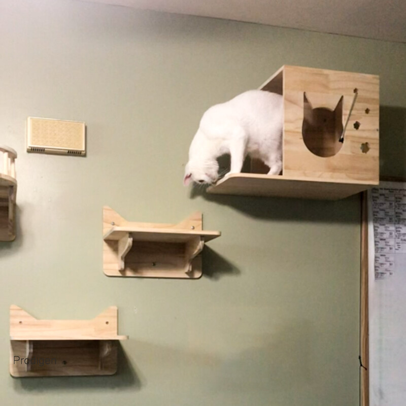 Mobilier pentru casa de pisici din lemn montat pe perete Rafturi pentru zgarietoare Scara de catarare Biban Podul pisicii si platforma de sarituri pentru joaca cu pisoi