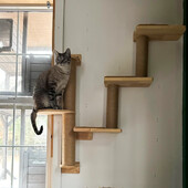 Falra szerelhető mászó macska fapolcok macskafüggőágy ugrópadlóval vagy karcoló oszloppal a macska játékhoz és alváshoz
