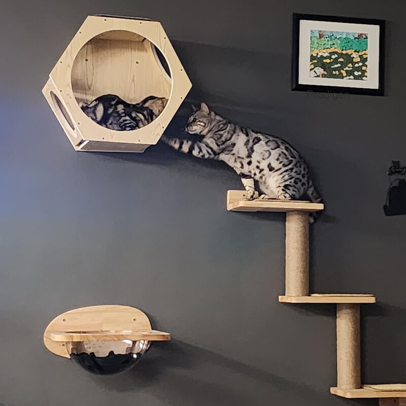 Falra szerelhető mászó macska fapolcok macskafüggőágy ugrópadlóval vagy karcoló oszloppal a macska játékhoz és alváshoz