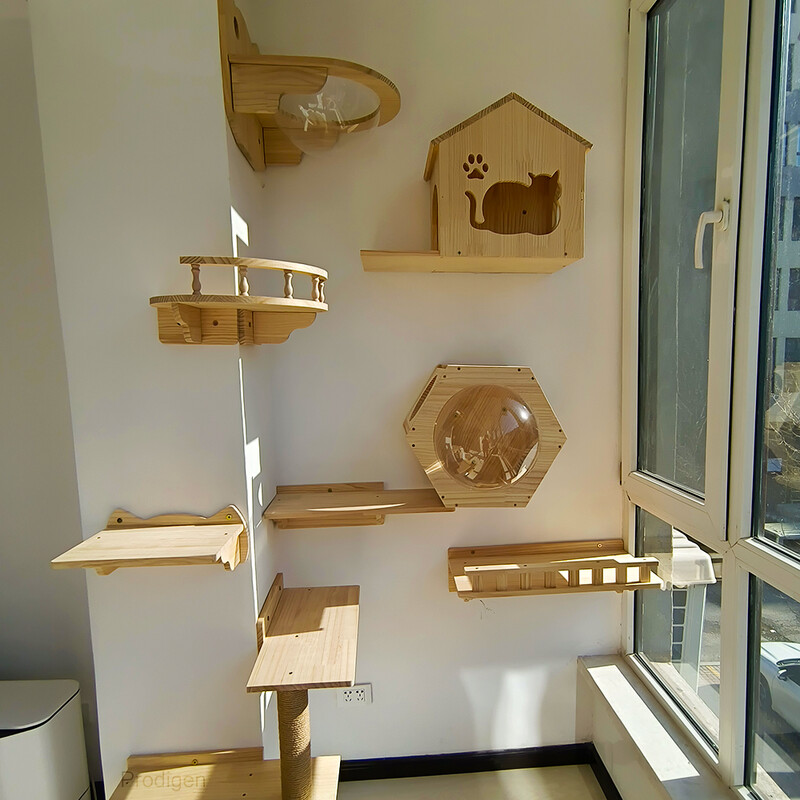 Pie sienas stiprināmi kaķu kāpšanas plaukti kaķu šūpuļtīkls ar kāpnēm un lecamo platformu, kas paredzēta kaķēniem, kas spēlējas un asaris