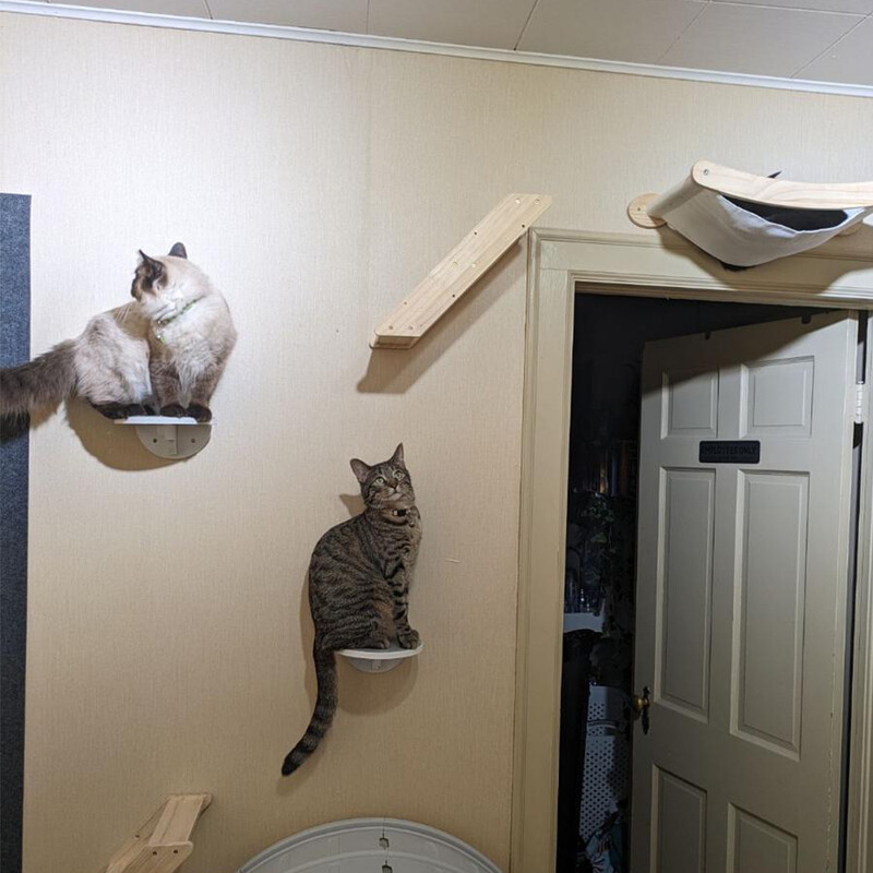 Mobilier de perete pentru pisici Cadru de catarare Montat pe perete din sisal Scara pentru zgarieturi pentru pisici de interior Pedale de cuib pentru pisici Pisici Joaca si dorm