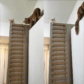 Különböző méretű macska felvonóhíd létra Szizál kötéllétra Tartós tömörfa kötéllétra kisállat tevékenységhez függőágy beltéri bútor