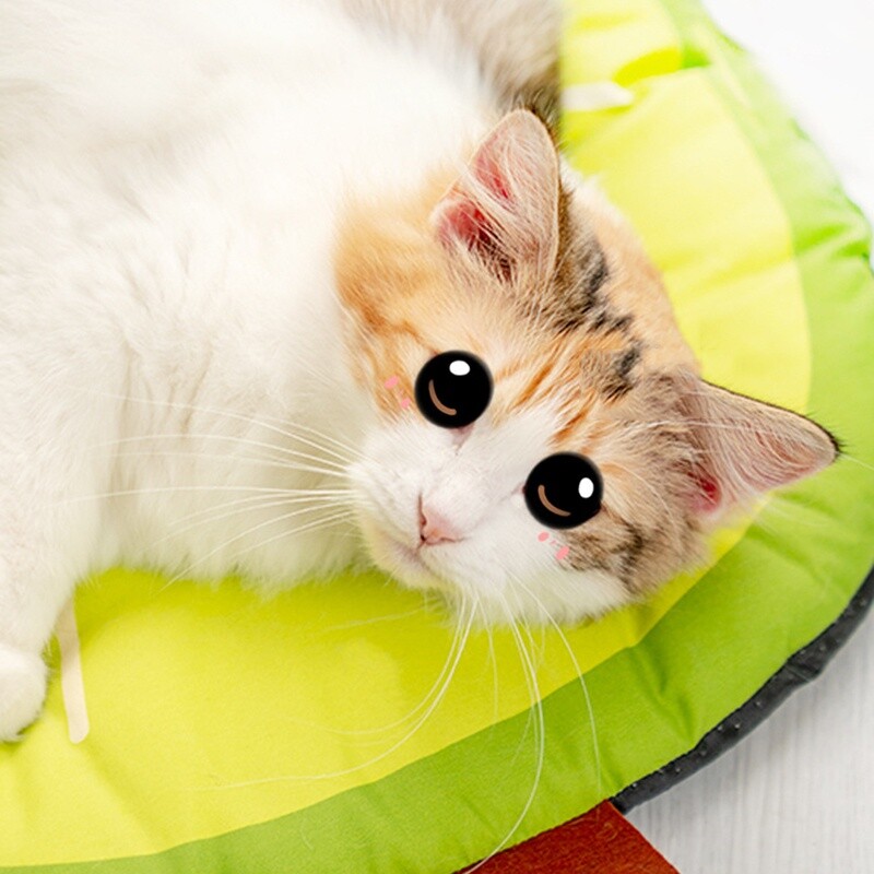 Covoraș de răcire de vară pentru animale de companie Tampă de gheață Câini Covorașe de dormit pentru pat de răcire respirabil Tampă lavabilă cu fructe Accesorii pentru pisici