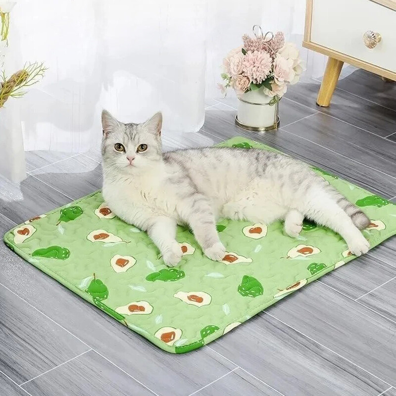 Katės Kilimėlis Lovos Katės Lovos Priedai Priedai Šuniukų Prekės Krepšelis Produktai Naminiams gyvūnėliams Namai Visi reikmenys Kačiukai Daiktai Katė