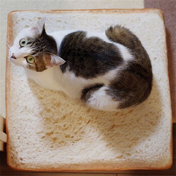 Creative Toast Bread Котешко легло Възглавница Топло кученце Коте Гнездо Плюшена постелка за домашен любимец Подвижен калъф Матрак за развъдник за малки кучета