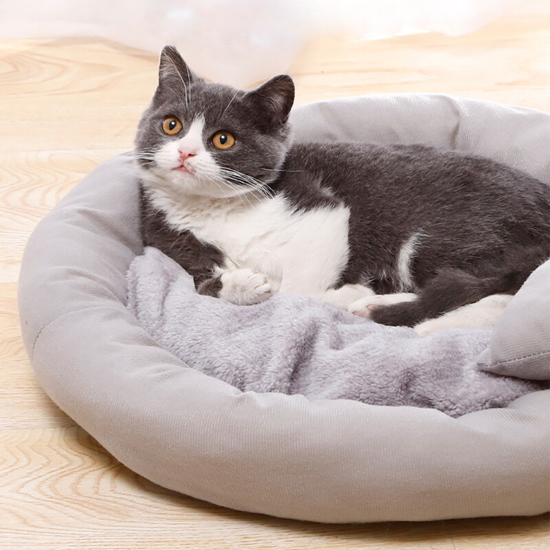 Kaķu gulta māja suņu audzētava Olu torte silts plīša kaķēnu spilvens grozs telts kucēns ala ligzdas paklājiņa soma Radoši iekštelpu mājdzīvnieku piederumi