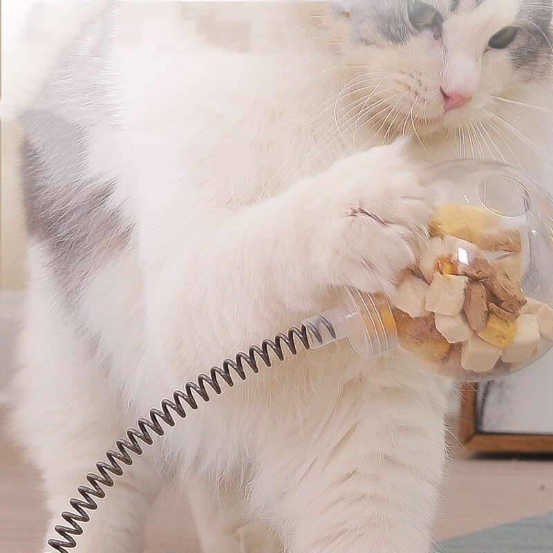 Placă turnantă din lemn masiv, jucării pentru pisici.