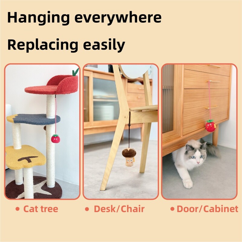 Pomidorai, baklažanai, grybai, pakabinami katžolės pliušiniai žaislai, kramtomi kąsneliai, šokinėjantys anonsiniai animaciniai filmukai, daržovės, patalpoje naudojami sūpynės katės žaislai