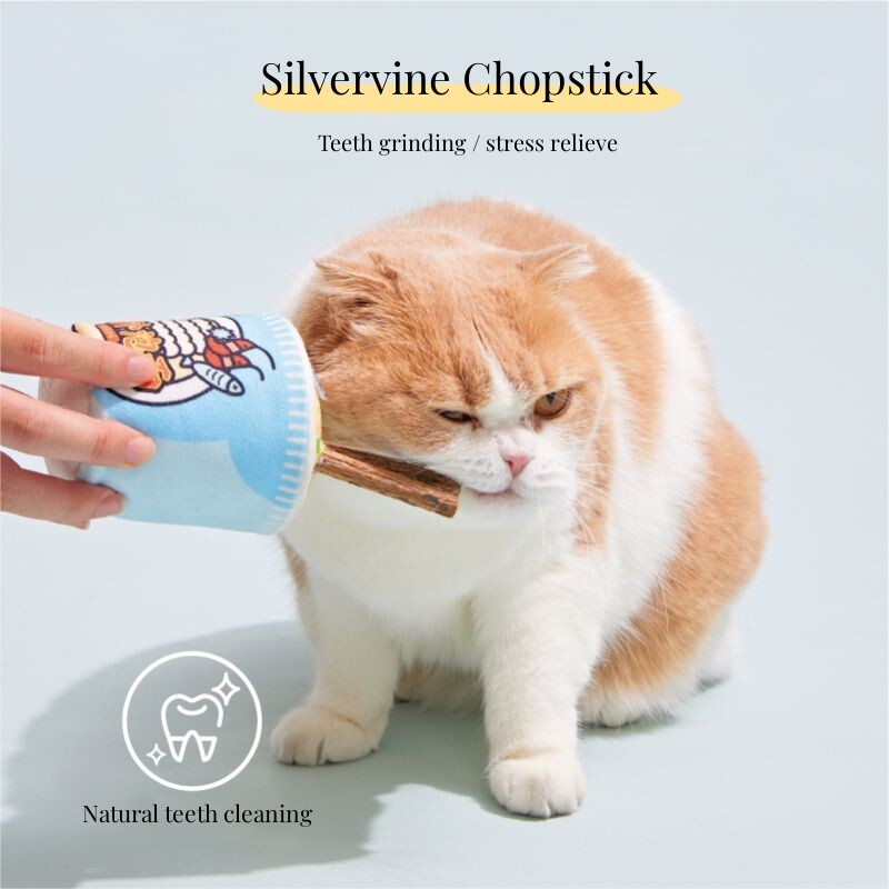 Ramein Mint Stick Savarankiško darbo žaislas katėms interaktyvus žaislas aksesuaras Katės mėtų kačiukai Priedai Žaislai katėms naminių gyvūnėlių produktai