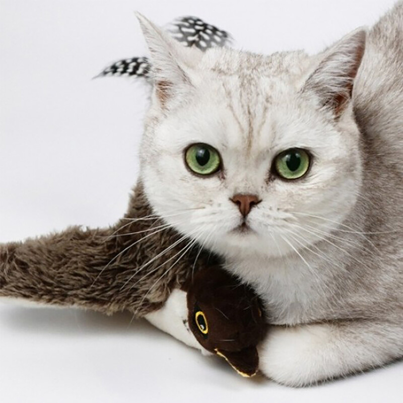 30 cm šokančių paukščių kačių žaislai Interaktyvūs katžolės mankštos žaislai kambarinėms katėms