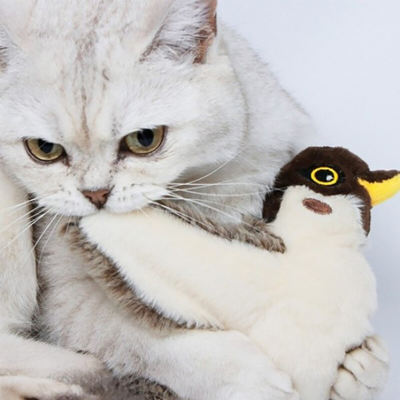 30 cm šokančių paukščių kačių žaislai Interaktyvūs katžolės mankštos žaislai kambarinėms katėms