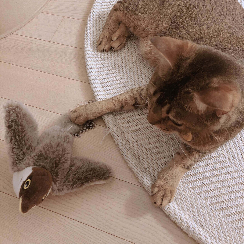 30 cm šokančių paukščių kačių žaislai Interaktyvūs katžolės mankštos žaislai kambarinėms katėms