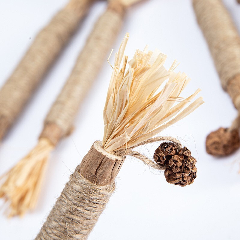 4 vnt Kačių žaislai Silvervine Chew Stick Polygonum Kitty Raffia Žolės reikmenys naminiams gyvūnėliams Valyti dantų lazdelė Pet Bite Cat žaislų virvė