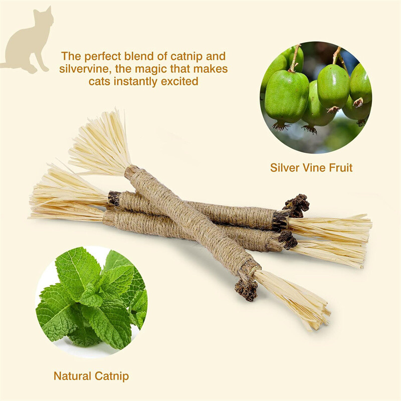 4 vnt Kačių žaislai Silvervine Chew Stick Polygonum Kitty Raffia Žolės reikmenys naminiams gyvūnėliams Valyti dantų lazdelė Pet Bite Cat žaislų virvė